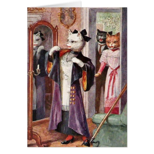 Cru - chat tout habillé, (Devant)