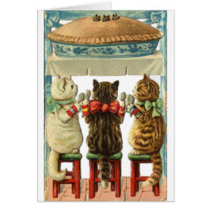 Cru - chatons prêts pour le tarte de souris,