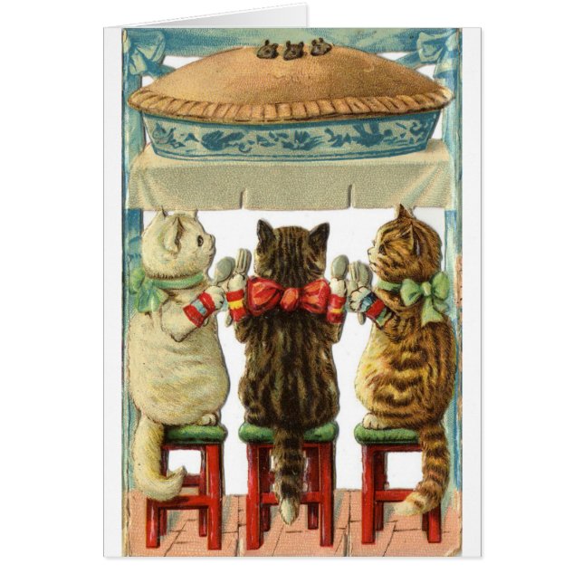 Cru - chatons prêts pour le tarte de souris, (Devant)