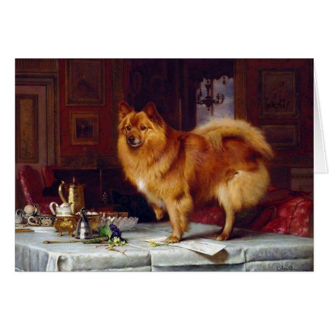 Cru - chien de Pomeranian et le Tableau de petit (Devant horizontal)