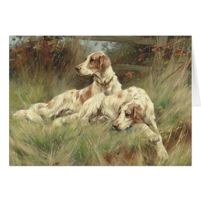Cru - chiens de poseur anglais dans le domaine, (Devant horizontal)
