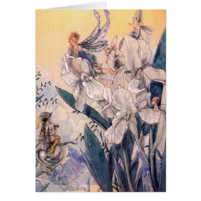 Cru - fées bleues en pastel, (Devant)
