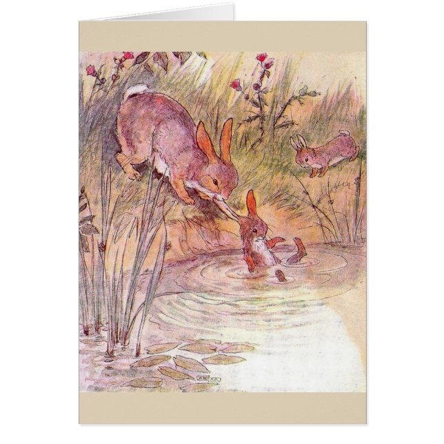 Cru - lapin occupé de mère, (Devant)