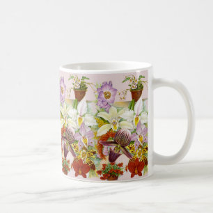 Cru/orchidées antiques café ou tasse de thé