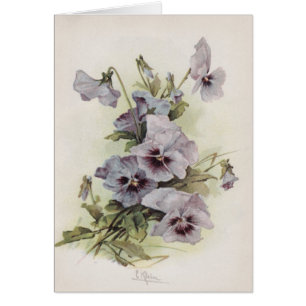 Cru - pourpre et pensées de Lavendar,