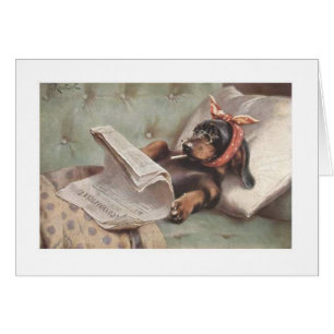 Cru - teckel sur le divan,