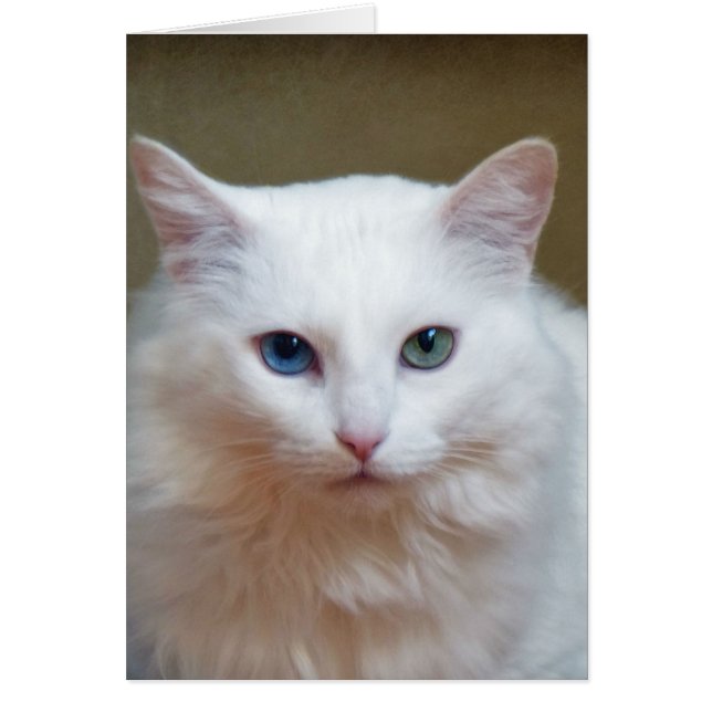 Crystal (Devant)