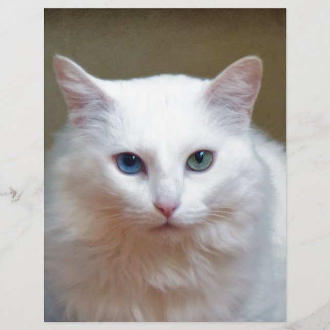 Crystal (Devant)