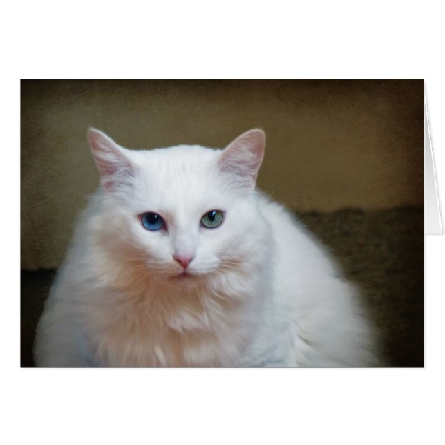 Crystal (Devant horizontal)