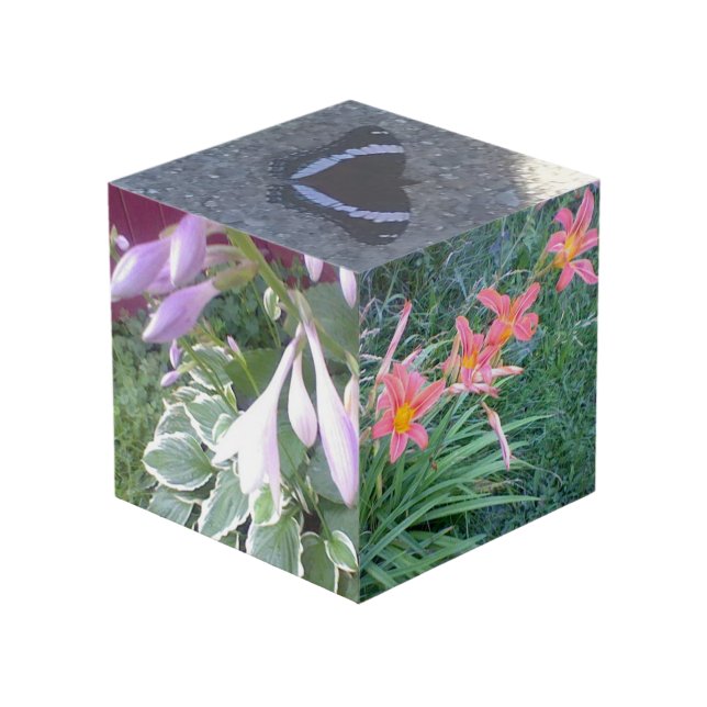 Cube de photo de nature (Angle devant)