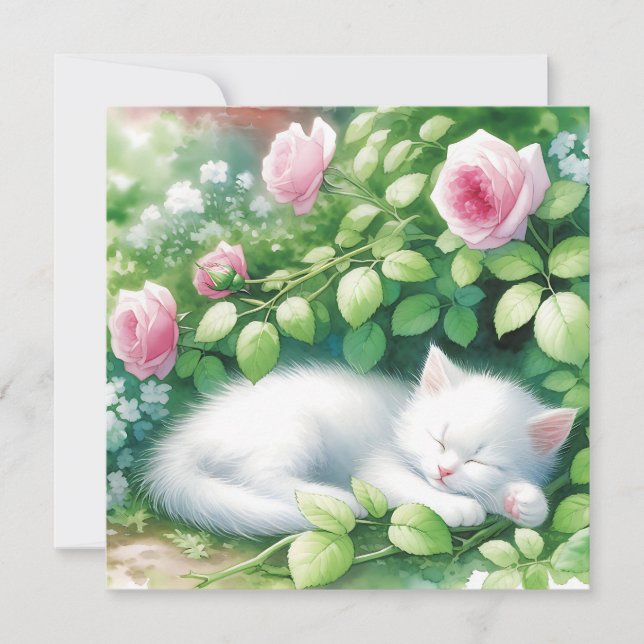Cube Kitten Blanc Nappant Sous Rosebush (Devant)
