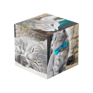 Cube Photo Accessoire de bureau personnalisé Carré Photo Inst
