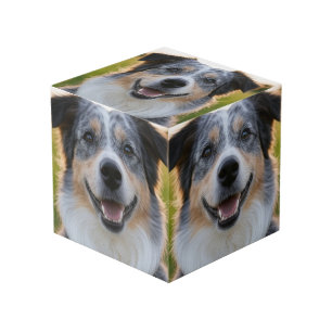 Cube Photo Ajouter une photo de l'animal Personnaliser