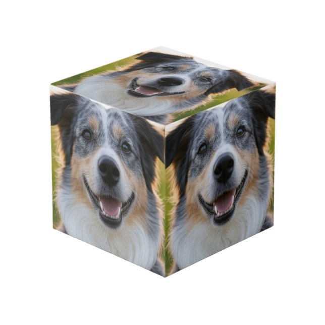 Cube Photo Ajouter une photo de l'animal Personnaliser (Angle devant)