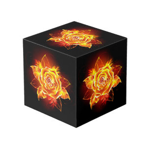 Cube Photo Blooming Fire Rose