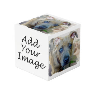 Cube Photo Brindle Pit Bull Puppy par Shirley Taylor