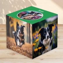 Cadeau personnalisé pour chien photo multiple vert