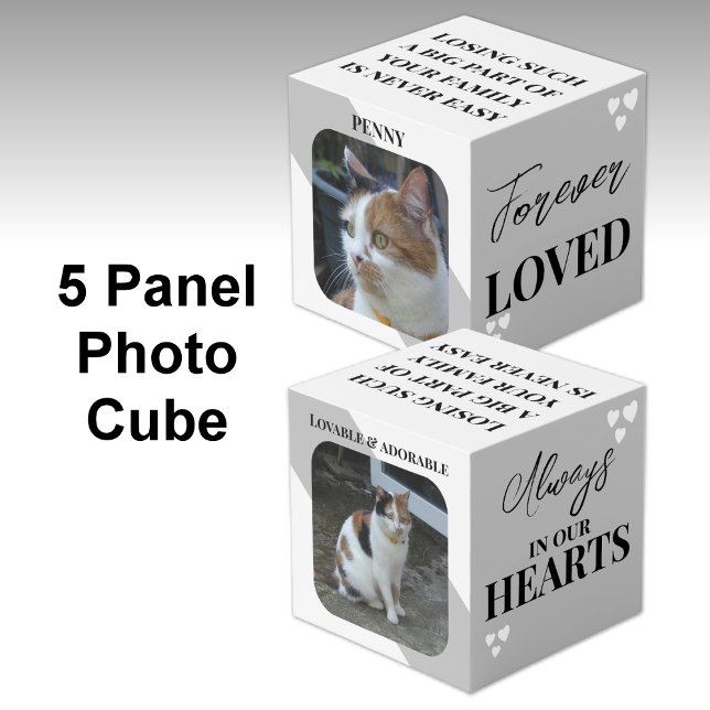 Cube Photo Cat Sympathy Keepsaké Pet Memorial photo gris (Créateur téléchargé)