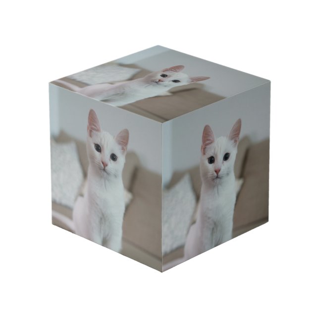 Cube Photo chat blanc | Zazzle_Growshop. (Angle devant)