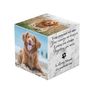 Cube Photo Dans Loss Mémoire Pet Perdre Cadeau Pet Photo Mem