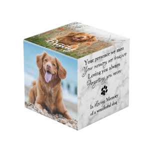 Cube Photo Dans Loss Mémoire Pet Perdre Cadeau Pet Photo Memo