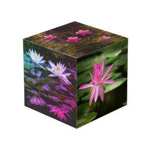 Cube photo de 4 po inspiré par la nature