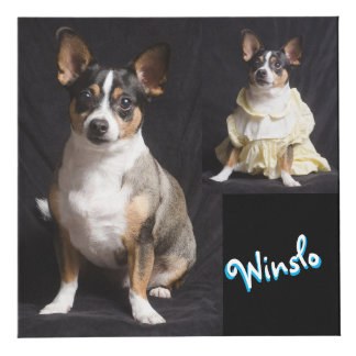 Cube photo entièrement personnalisable