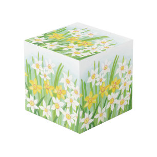 Cube Photo Les jonquilles jaunes et blanches au printemps