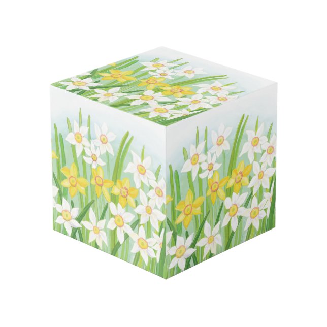 Cube Photo Les jonquilles jaunes et blanches au printemps (Angle devant)