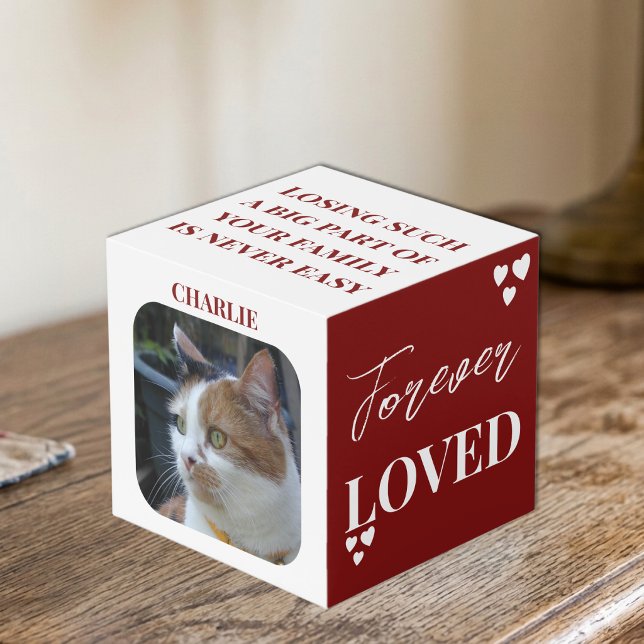 Cube Photo Mémorial de compagnie de chat Cadeau de sympathie  (Créateur téléchargé)