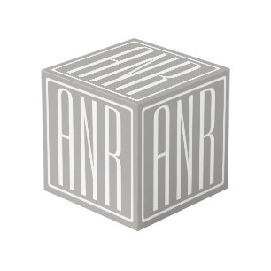Cube Photo Monogramme initial Blanc sur gris clair