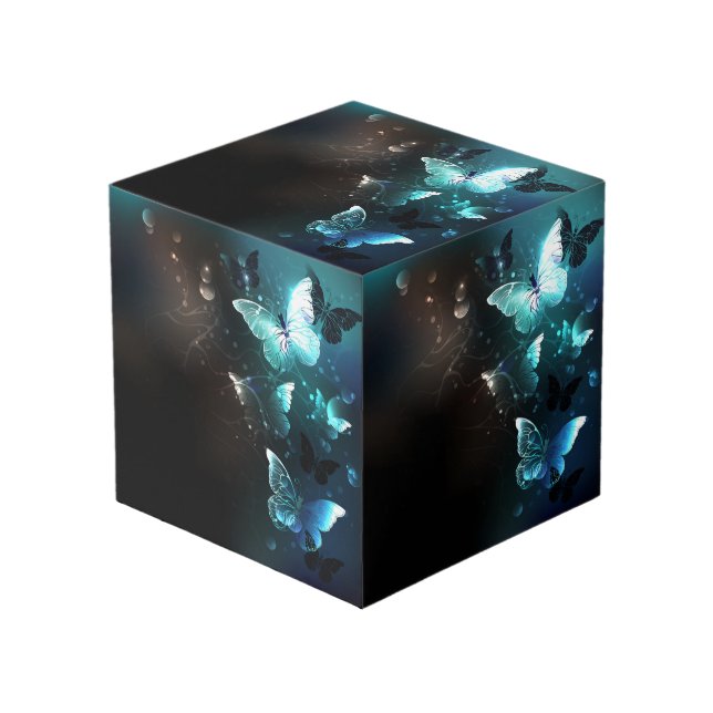 Cube Photo Papillons de nuit (Angle devant)