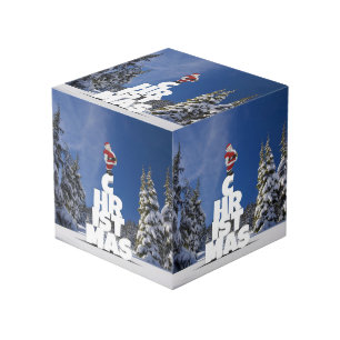 Cube Photo Paysage hivernal de Noël