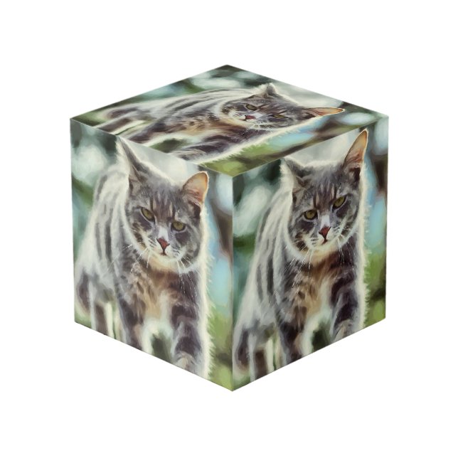 Cube Photo Peinture de chat (Angle devant)
