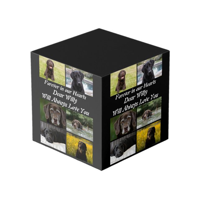 Cube Photo Personnalisation moderne Pet Memorial 6 Photo Coll (Angle devant)