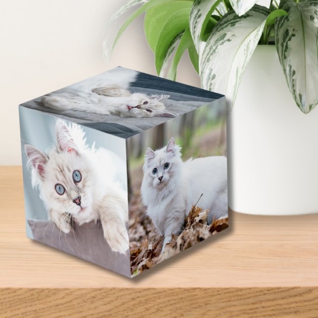 Cube Photo Personnalisé Chat Keepsaké Pet Photo (Custom Personalized Cat Keepsake Pet Photo cube)