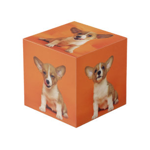 Cube Photo Photo personnalisée avec votre chien 5 images sur