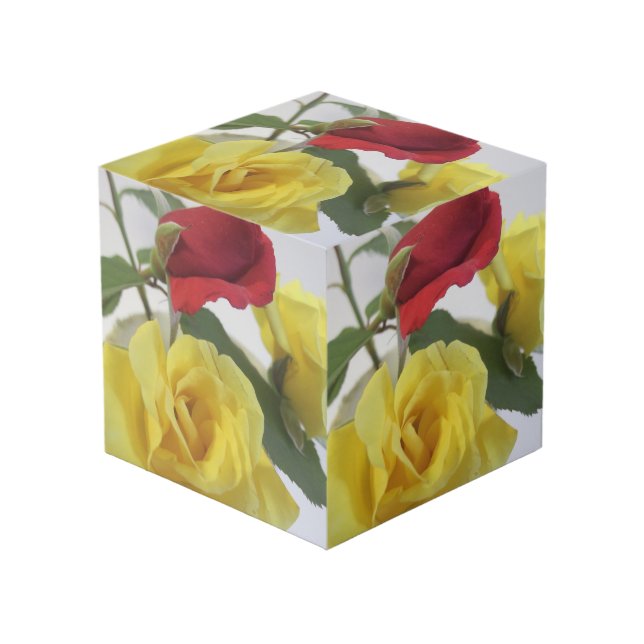 Cube photo rose 4 pouces personnalisé (Angle devant)