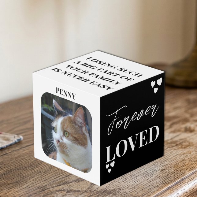 Cube Photo Sympathie pour chat Objet-souvenir Mémorial pour a (Créateur téléchargé)