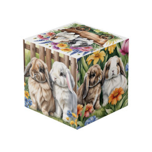 Cube Photo Trois petits lapins lapins de lapin de lop
