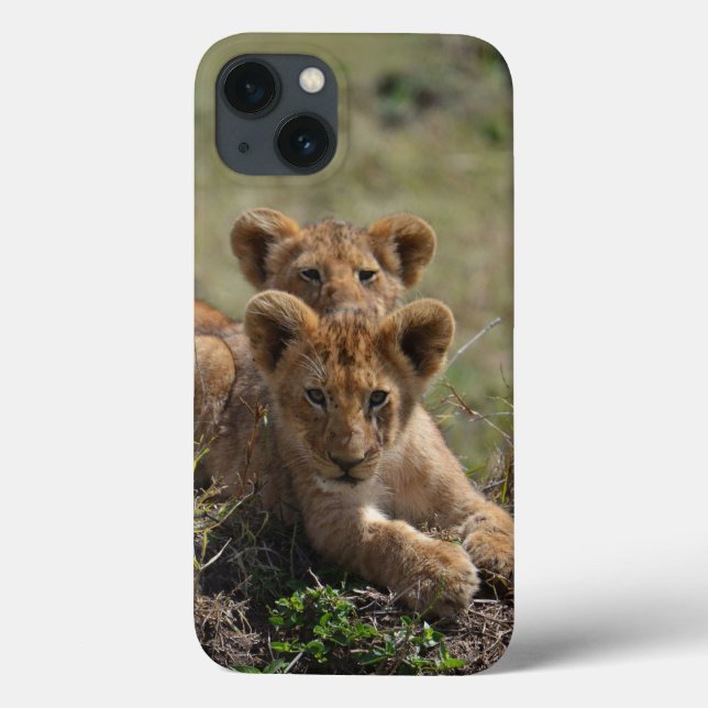 Cubs Lion Africains Sauvages iPad Mini coque (Verso)
