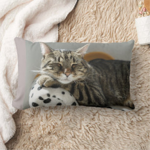 CUDDLE CUDLE BOYFRIEND TABBY COUSSINS