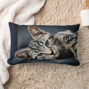 CUDDLE CUTE CUTE CUTE CUTE COUSSINS
