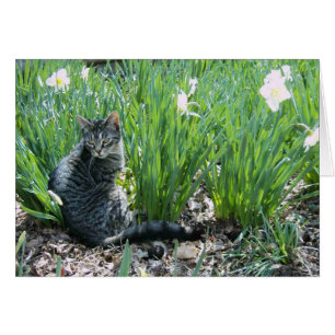 CUISINE DANS LE JARDIN