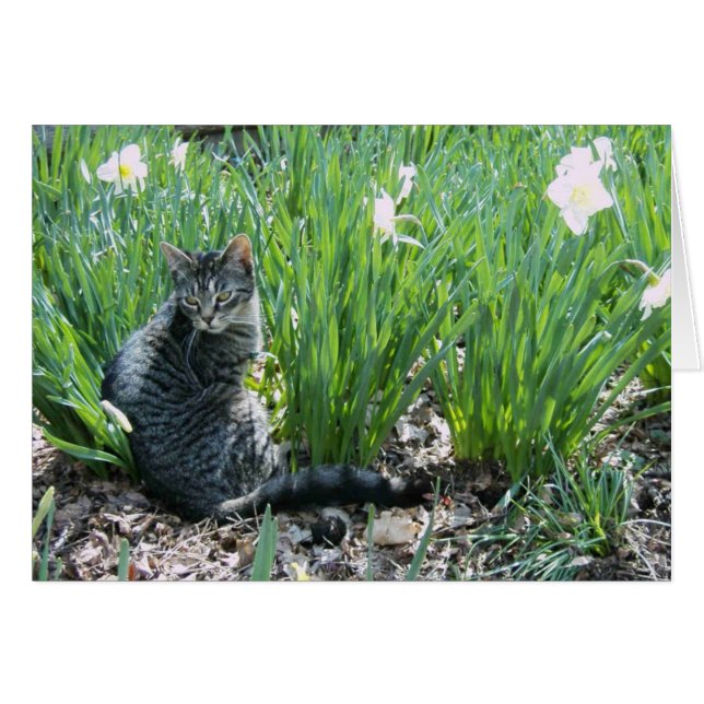 CUISINE DANS LE JARDIN (Devant Horizontal)