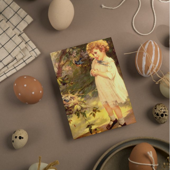 Cuisine victorienne avec cartes d'oiseaux (Créateur téléchargé)