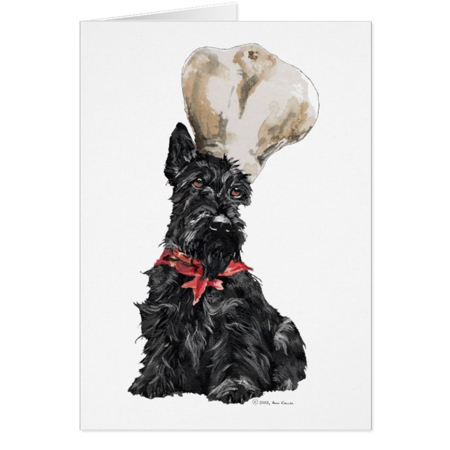 Cuisinier Terrier Écossais (Devant)