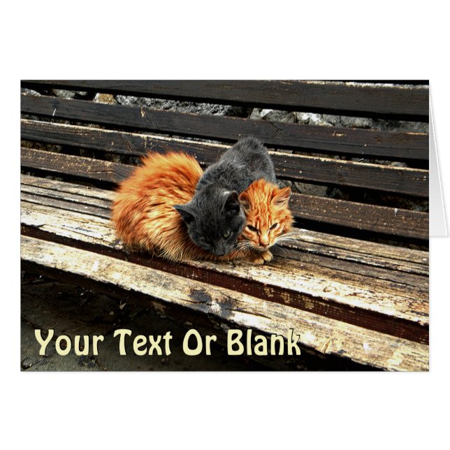 Cuisses Catnap (Devant horizontal)