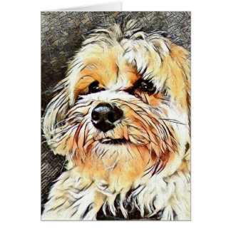 Cuivrez la carte de Morkie