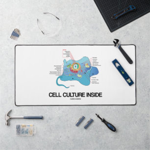Culture cellulaire à l'intérieur d'une cellule euc